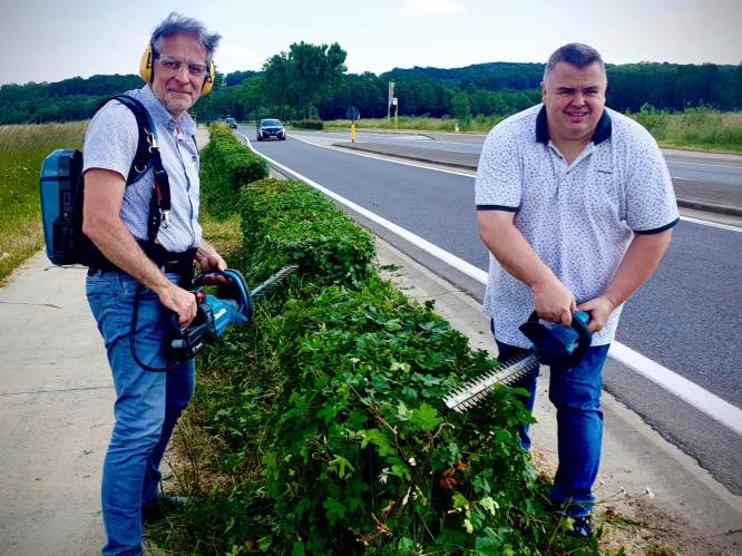 Burgemeester snoeit zelf hagen langs N223: “Omdat AWV niets onderneemt na resem ongevallen en klachten”