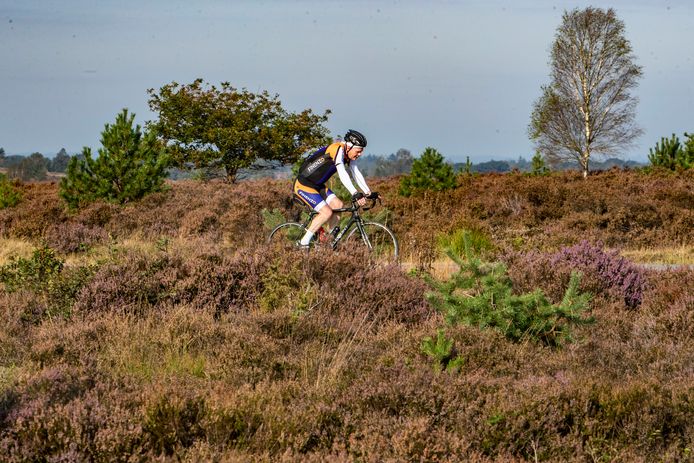 NatuurAlert Nederland wil geen mountainbikers meer in het Nationaal Park De Sallandse Heuvelrug