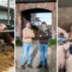‘Het ontbreekt hoe langer, hoe meer aan gezond boerenverstand in de wetgeving’