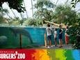 Koninklijke Burgers' Zoo