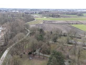 KIJK: Nieuwe Scheldebrug in Wetteren via Voordestraat richting Noordlaan