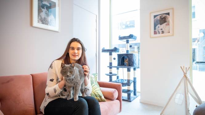 Dierenverzorgster Axelle (25) opent dinsdag Cats & Cups: “De katten zijn hier thuis, dus bezoekers moeten hun regels volgen”