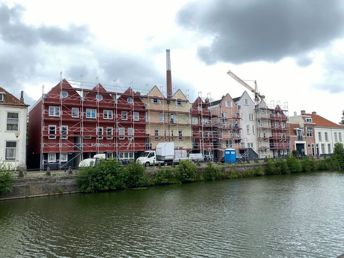 De bomen groeien zo'n beetje uit de kademuur van de Zuidzijde Haven in Bergen op Zoom.