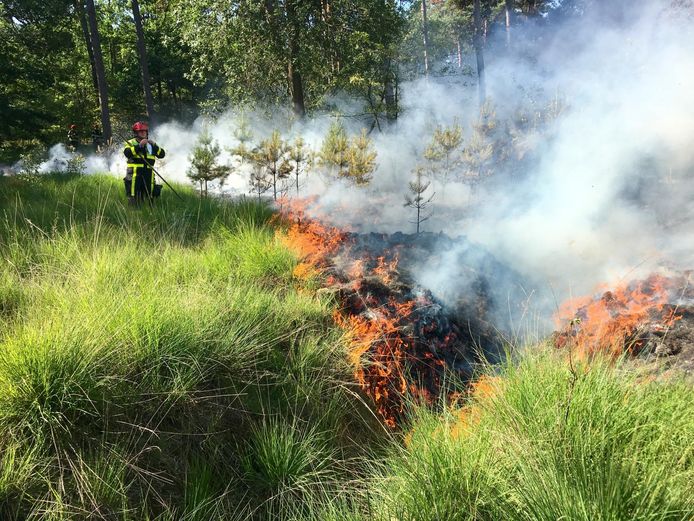 De brand in het bos bij Alphen.