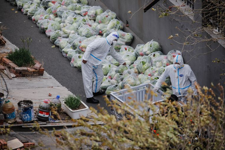 Vrijwilligers maken zakken met groenten klaar voor de inwoners van Beijing, waar op dit moment een lockdown geldt. Beeld ANP / EPA