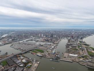 Staatssecretaris voor Fraudebestrijding De Backer: "Drugsaanpak naar Amerikaans model nodig in Antwerpse haven"