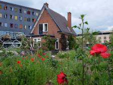 Tuinliefhebbers opgelet: op deze datum is het Open Tuinenweekend in Apeldoorn