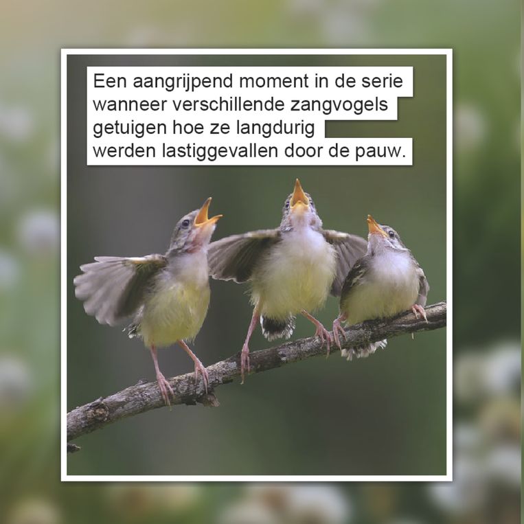 Gat van de wereld Beeld GVDW