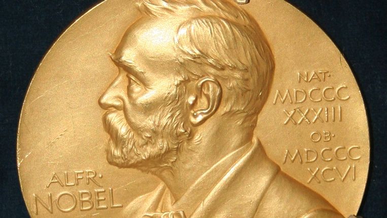 Detail van een plaquette van een Nobelprijs. Beeld Wikipedia