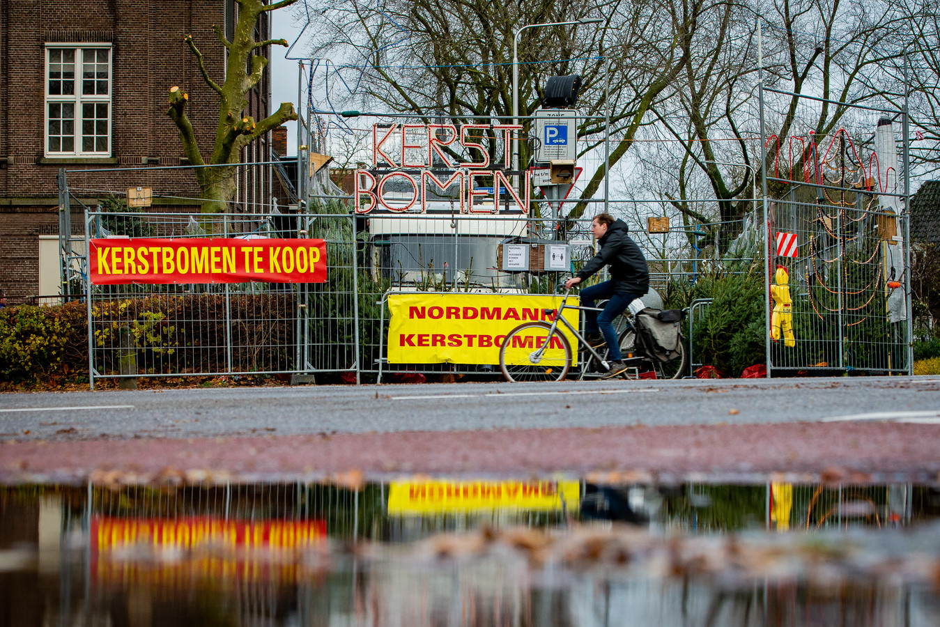 Op zoek naar de perfecte, duurzame kerstboom ‘Mensen eindigen toch