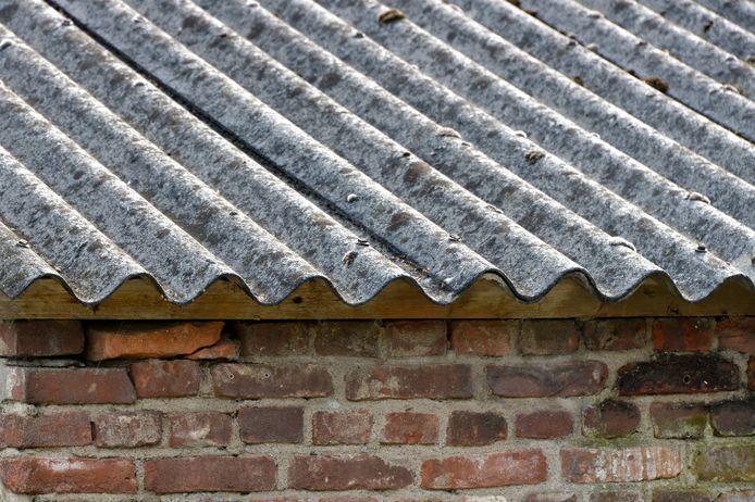 Platen asbest als dakbedekking op een schuur. Foto ter illustratie.