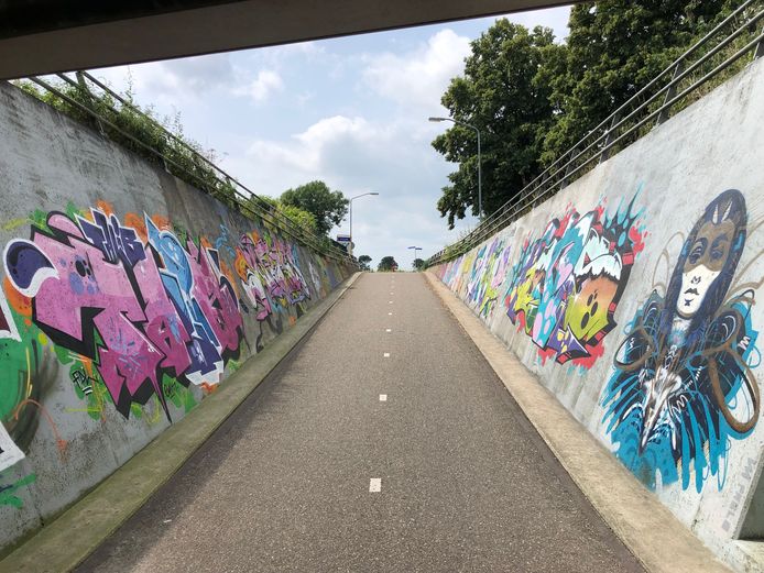 Een vrolijk voorbeeld van hoe het fietstunneltje bij Ben van Dijk eruit zou kunnen zien. Deze foto is van de fietstunnel onder de A50, bij Oud Moleneind.