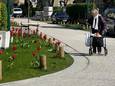 De gemeente kiest in de Dumontwijk voor extra groen en bloemen