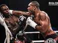 Voormalig Glory-kampioen Jason Wilnis maakt succesvol MMA-debuut
