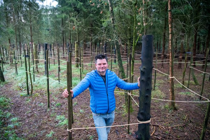 Sietse Wever in het touwen-parcours dat hij buiten Loenen heeft gemaakt. Gratis te gebruiken door wie wil.