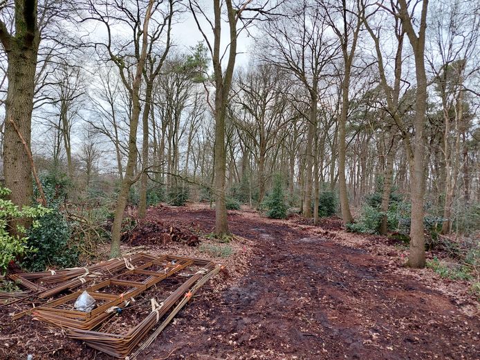 De bomen op de plek van de nieuwe mast zijn gerooid en het eerste materiaal ligt klaar.