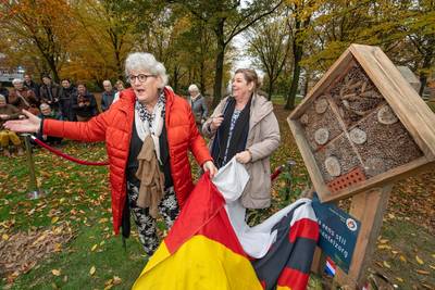 Monument voor mantelzorgers in Asten is insectenhotel: ‘Allebei bedrijvige beestjes’