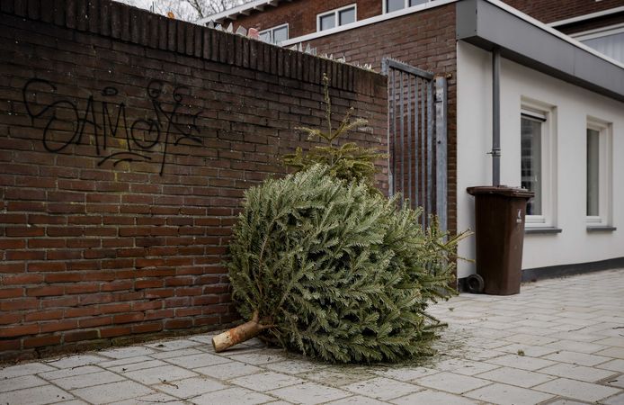 Themabeeld