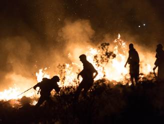 Griekenland geteisterd door bosbranden, ook dicht bij vakantievilla Nederlandse koning Willem-Alexander