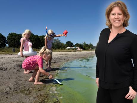 33.000 zonnepanelen op de Cattenbroekerplas: hoe durf je het überhaupt voor te stellen?