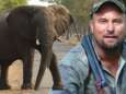 Doodgeschoten olifant verplettert jager