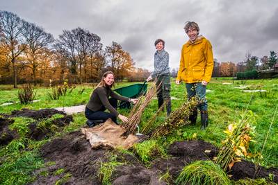 Jessica, Maud en Dagobert pionieren voor hun groene droom: een heus Voedselbos Glanerbeek