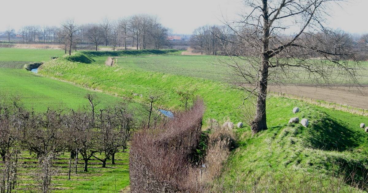 Drie nieuwe wandelroutes door Zak van Zuid-Beveland