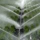 Tuin besproeien en auto wassen mag voorlopig nog, ondanks droogte: ‘Situatie is ernstig, maar blijven in code oranje’