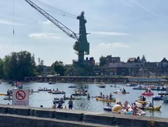 Wat te doen in Gent dit weekend? Van Dobberdag aan het Houtdok tot Zwijntjeskermis in Zwijnaarde