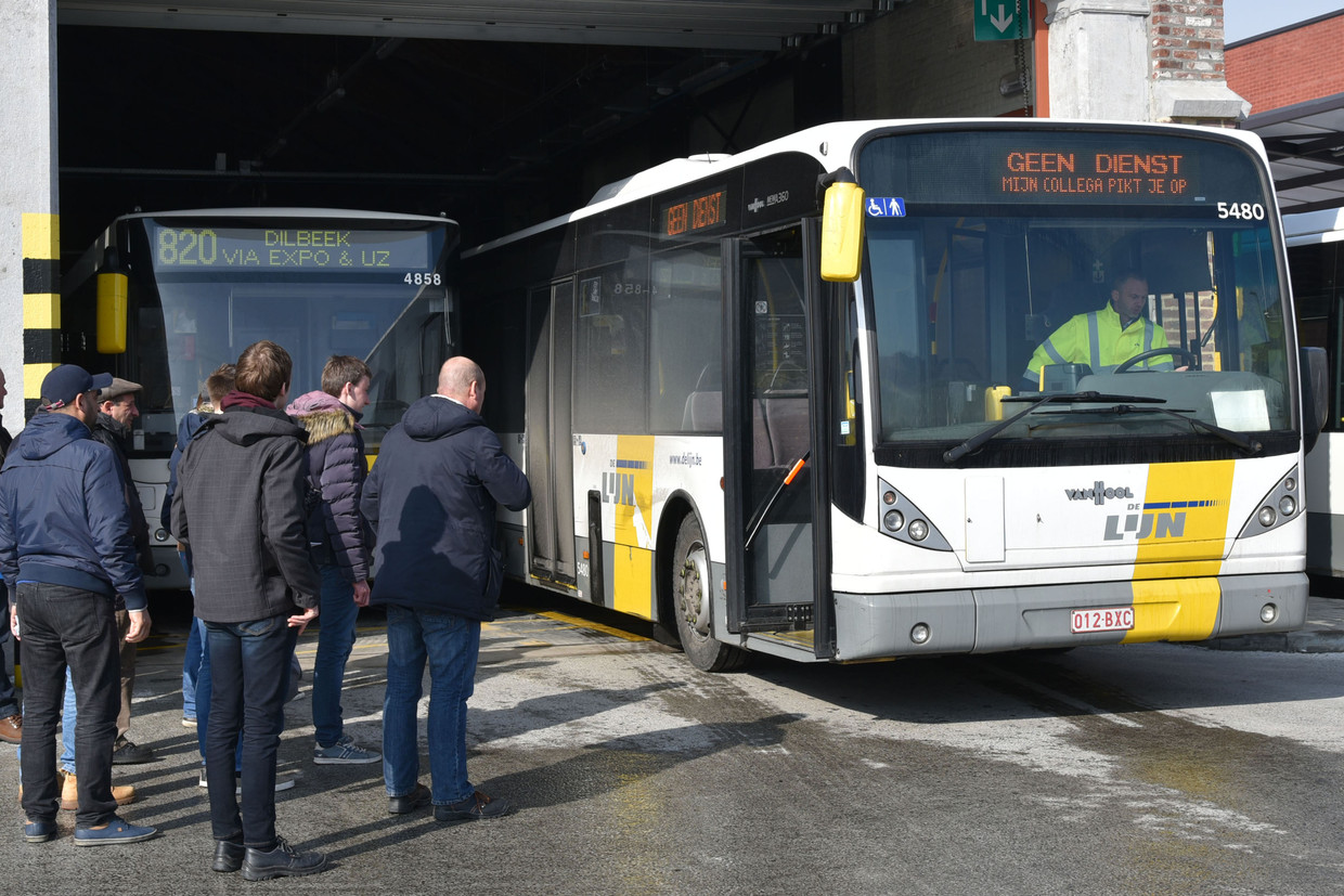 Een bus van De Lijn Beeld Dieter Nijs