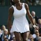 Geblesseerde Serena Williams niet in Fed Cup