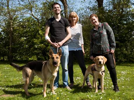 Deze puppy’s worden stoere hulphonden: ‘Het is slopend, kind opvoeden is makkelijker’