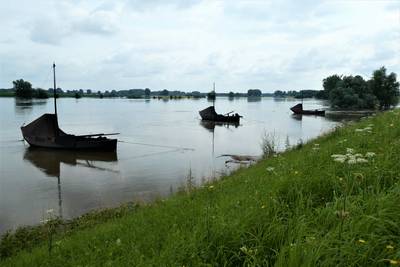 Presentatie plan De Vrije Maas in Ammerzoden: ideeën voor hoogwater en extreme droogte