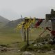 Compostelle, le chemin de la vie