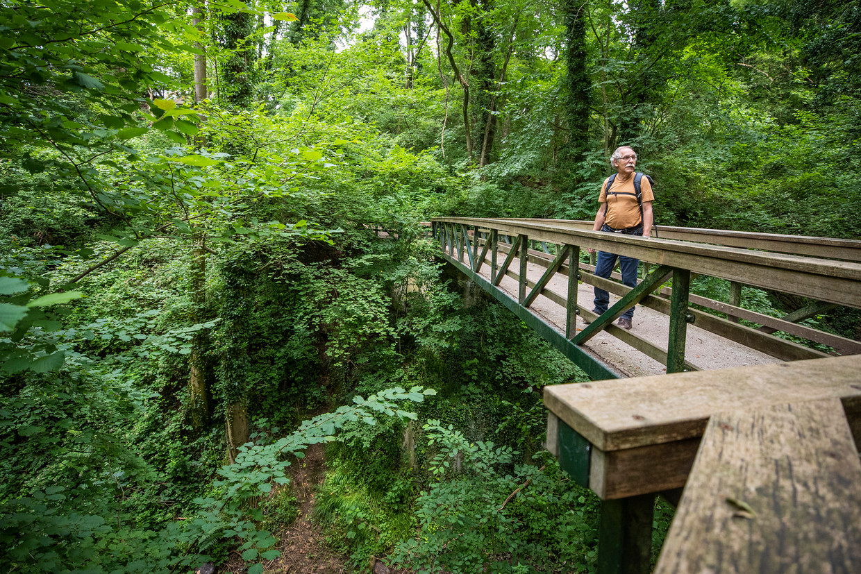  Freek van Westreenen in het Savelsbos in Zuid-Limburg