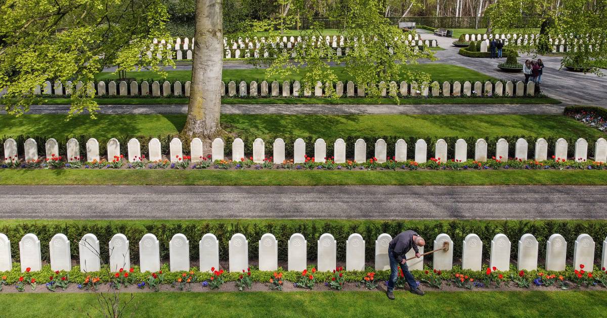 Rhenen staat met vierde ‘Getuigenissen op de Berg’ stil bij oorlogsverleden van de Grebbeberg