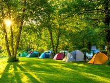 Camping en omwonenden sluiten vrede: De Bosrand in Lieren mag uitbreiden (al zijn alleen tenten welkom)