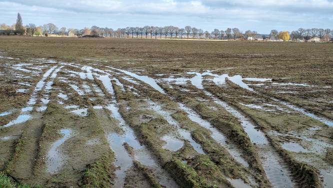 ‘De huidige temperaturen waren vijftig jaar geleden normaal voor april’
