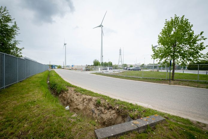 De gemeente Bornem wil van de private weg tussen Klein-Mechelen en de Industrieweg openbaar domein maken en deze 'Leemsheide' dopen.