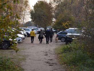 Heidebos krijgt extra wandellus voor honden