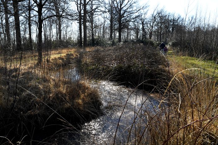ACHTMAAL, Landgoederenserie: Wallsteijn in Achtmaal. Pix4Profs / Jan Stads