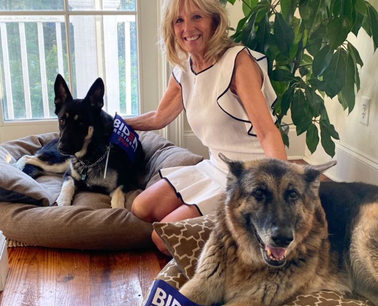 Jill Biden met de First Dogs: Champ en Major. Beeld Twitter