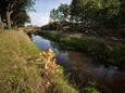 Natuurgebied de Bult in Deurne