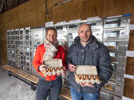 De eierautomaat is in trek, zien boerderijen in de regio: ‘Loopt als een tierelier’