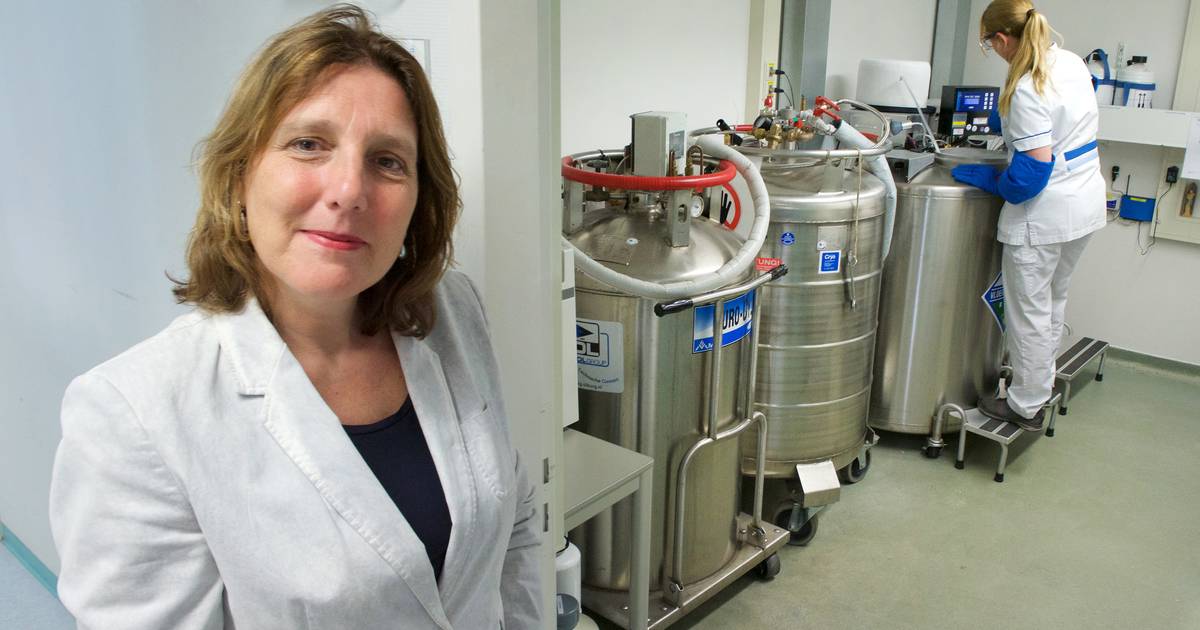 Gynaecoloog Donor K34 Kan Niet Zomaar Anoniem Worden Binnenland Ad Nl