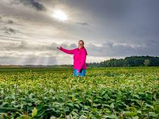 Verzet tegen landbouwgif in Oost-Nederland groeit, maar pas als je er dood aan gaat wordt het verboden

