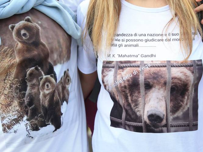 Beer die werd vastgezet na dood jogger in Italië is onschuldig volgens activisten