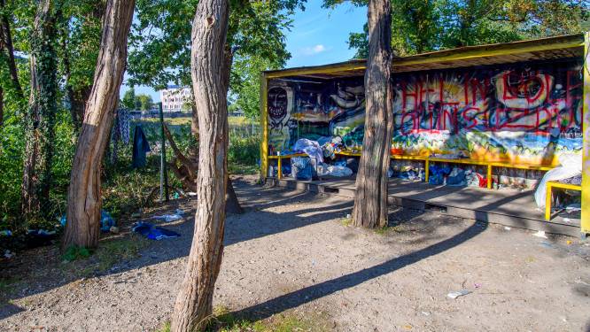 Container voor daklozen in Bergen is blijvertje: ‘Weghalen verplaatst het probleem’
