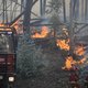 Hitte en droogte wakkeren tientallen bosbranden aan in Portugal