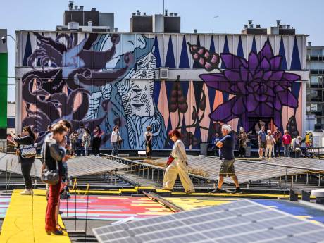 15.000 bezoekers Rotterdamse Dakendagen afgelopen weekend: ‘Een-na-drukste ooit’